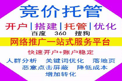 SEM托管成功案例：揭秘高效广告投放策略